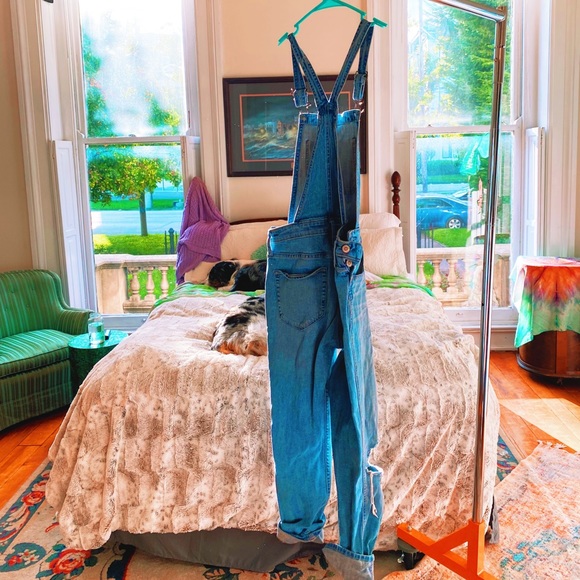 Hollister Artist Distressed Denim Overalls (Full) - Picture 12 of 12